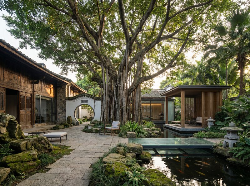 草莓视频社区视频